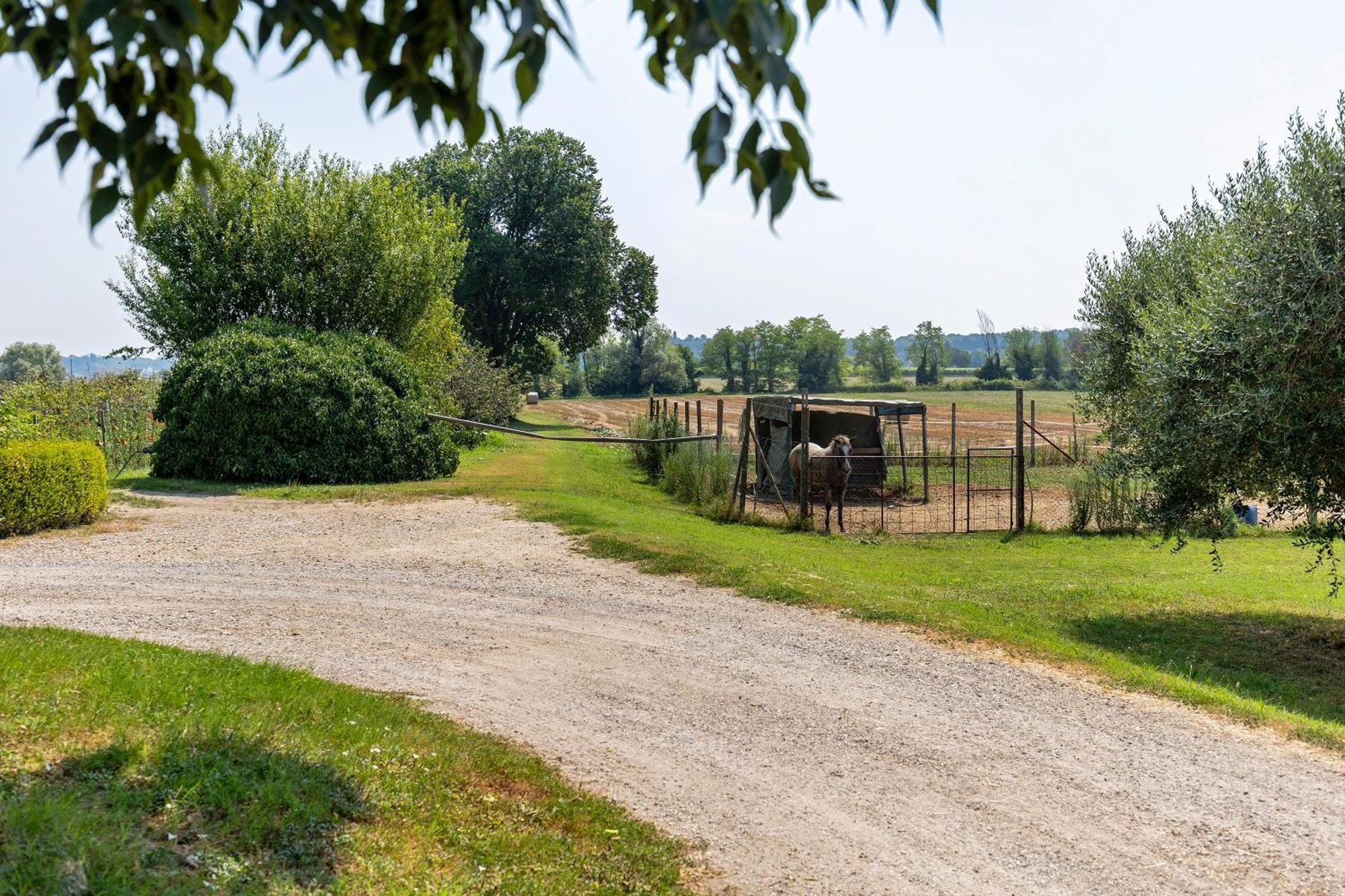 New Agriturismo Corte Olfino 蒙赞巴诺 外观 照片